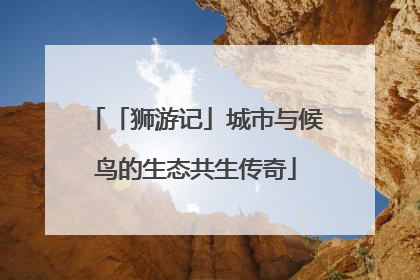 「狮游记」城市与候鸟的生态共生传奇