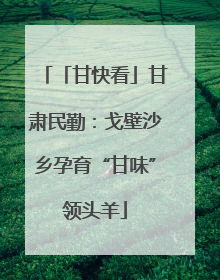 「甘快看」甘肃民勤：戈壁沙乡孕育“甘味”领头羊