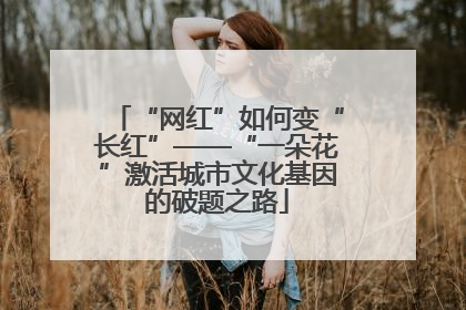 “网红”如何变“长红”——“一朵花”激活城市文化基因的破题之路