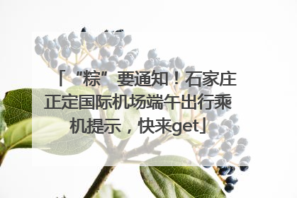 “粽”要通知！石家庄正定国际机场端午出行乘机提示，快来get