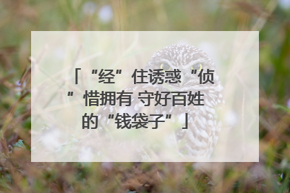 “经”住诱惑“侦”惜拥有 守好百姓的“钱袋子”