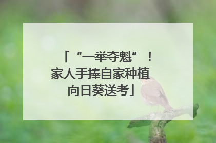 “一举夺魁”！家人手捧自家种植向日葵送考