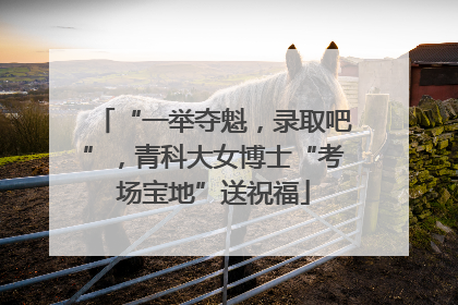“一举夺魁，录取吧”，青科大女博士“考场宝地”送祝福