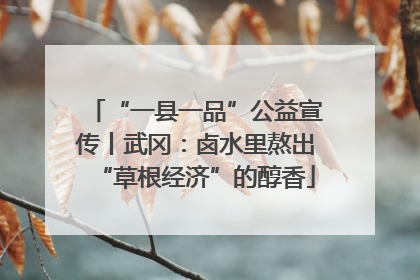 “一县一品”公益宣传丨武冈：卤水里熬出“草根经济”的醇香