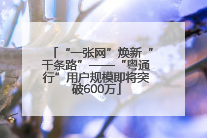 “一张网”焕新“千条路”——“粤通行”用户规模即将突破600万