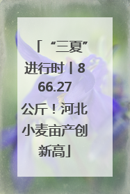 “三夏”进行时丨866.27公斤！河北小麦亩产创新高