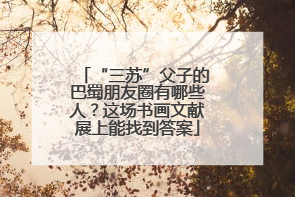 “三苏”父子的巴蜀朋友圈有哪些人？这场书画文献展上能找到答案