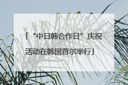 “中日韩合作日”庆祝活动在韩国首尔举行