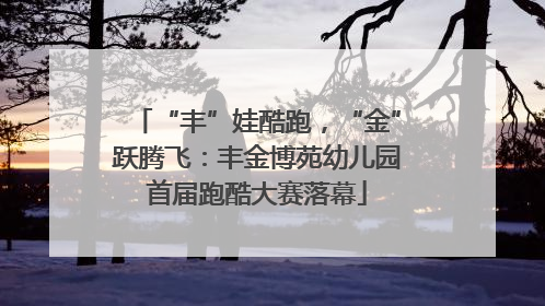 “丰”娃酷跑，“金”跃腾飞：丰金博苑幼儿园首届跑酷大赛落幕