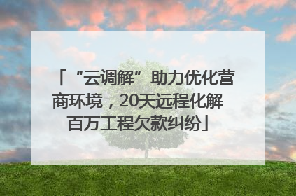 “云调解”助力优化营商环境，20天远程化解百万工程欠款纠纷