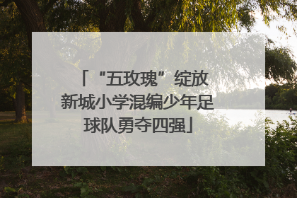 “五玫瑰”绽放 新城小学混编少年足球队勇夺四强