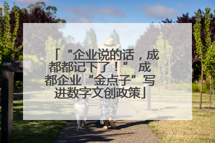 “企业说的话，成都都记下了！” 成都企业“金点子”写进数字文创政策