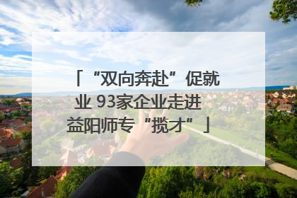 “双向奔赴”促就业 93家企业走进益阳师专“揽才”