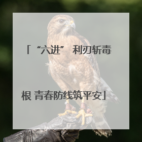 “六进” 利刃斩毒根 青春防线筑平安