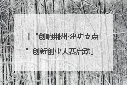 “创响荆州·建功支点”创新创业大赛启动