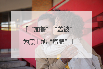 “加餐”“盖被” 为黑土地“增肥”