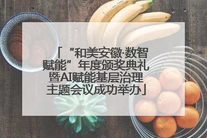 “和美安徽·数智赋能”年度颁奖典礼暨AI赋能基层治理主题会议成功举办