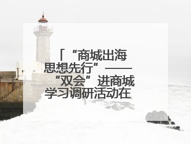 “商城出海 思想先行”——“双会”进商城学习调研活动在临沂顺利开展