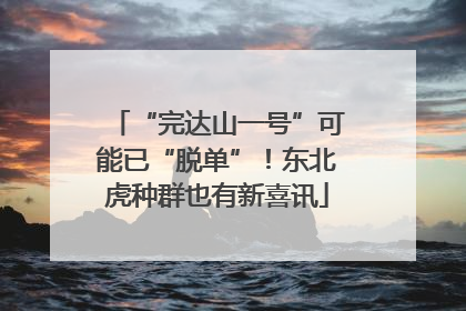 “完达山一号”可能已“脱单”！东北虎种群也有新喜讯