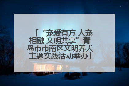 “宠爱有方 人宠相融 文明共享”青岛市市南区文明养犬主题实践活动举办