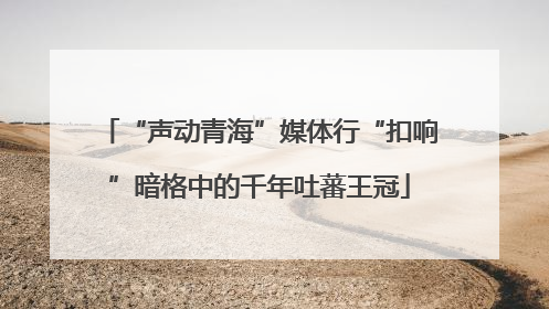 “声动青海”媒体行“扣响”暗格中的千年吐蕃王冠