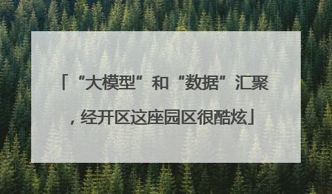 “大模型”和“数据”汇聚，经开区这座园区很酷炫