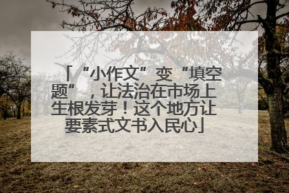 “小作文”变“填空题”，让法治在市场上生根发芽！这个地方让要素式文书入民心