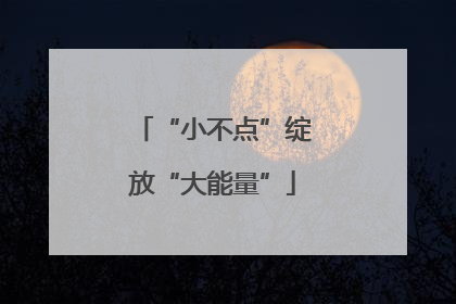 “小不点”绽放“大能量”