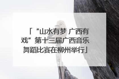 “山水有梦 广西有戏”第十三届广西音乐舞蹈比赛在柳州举行