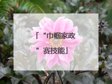 “巾帼家政”赛技能
