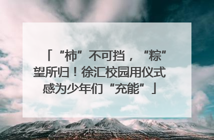“柿”不可挡，“粽”望所归！徐汇校园用仪式感为少年们“充能”