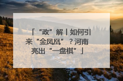 “政”解丨如何引来“金凤凰”？河南亮出“一盘棋”