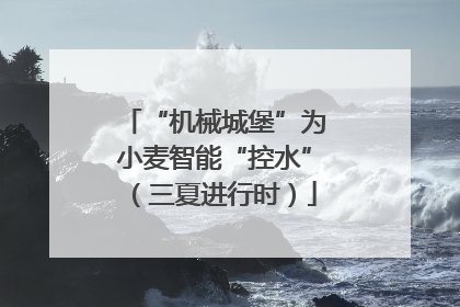 “机械城堡”为小麦智能“控水”（三夏进行时）
