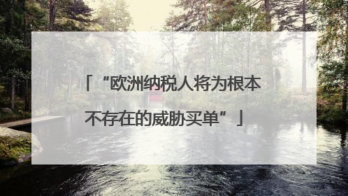“欧洲纳税人将为根本不存在的威胁买单”