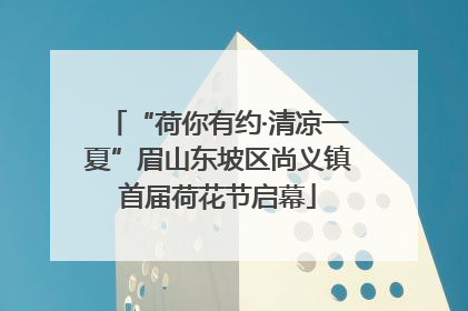 “荷你有约·清凉一夏”眉山东坡区尚义镇首届荷花节启幕