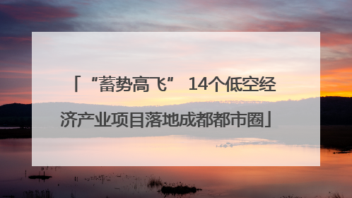“蓄势高飞” 14个低空经济产业项目落地成都都市圈