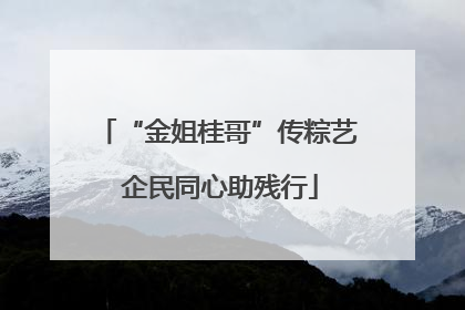 “金姐桂哥”传粽艺 企民同心助残行
