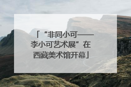 “非同小可——李小可艺术展”在西藏美术馆开幕