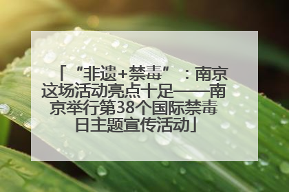 “非遗+禁毒”：南京这场活动亮点十足——南京举行第38个国际禁毒日主题宣传活动