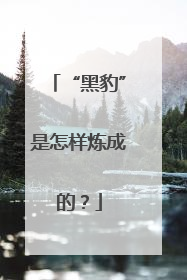 “黑豹”是怎样炼成的？
