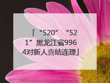 “520”“521”黑龙江省9964对新人喜结连理