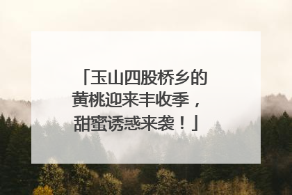 玉山四股桥乡的黄桃迎来丰收季，甜蜜诱惑来袭！