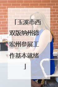 玉溪市西双版纳州德宏州参展工作基本就绪