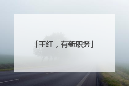 王红，有新职务