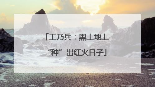 王乃兵：黑土地上“种”出红火日子