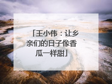 王小伟：让乡亲们的日子像香瓜一样甜