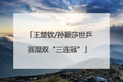 王楚钦/孙颖莎世乒赛混双“三连冠”