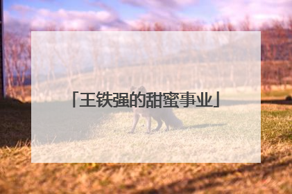 王铁强的甜蜜事业