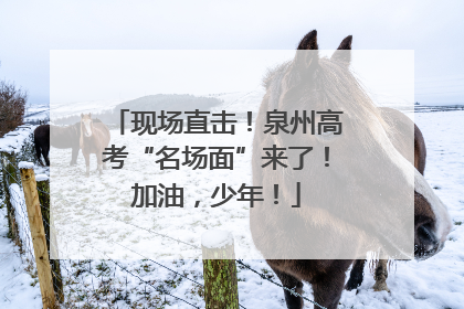 现场直击！泉州高考“名场面”来了！加油，少年！