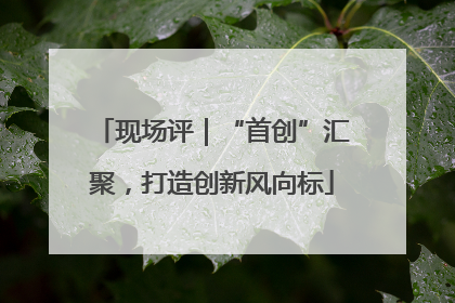 现场评｜“首创”汇聚，打造创新风向标